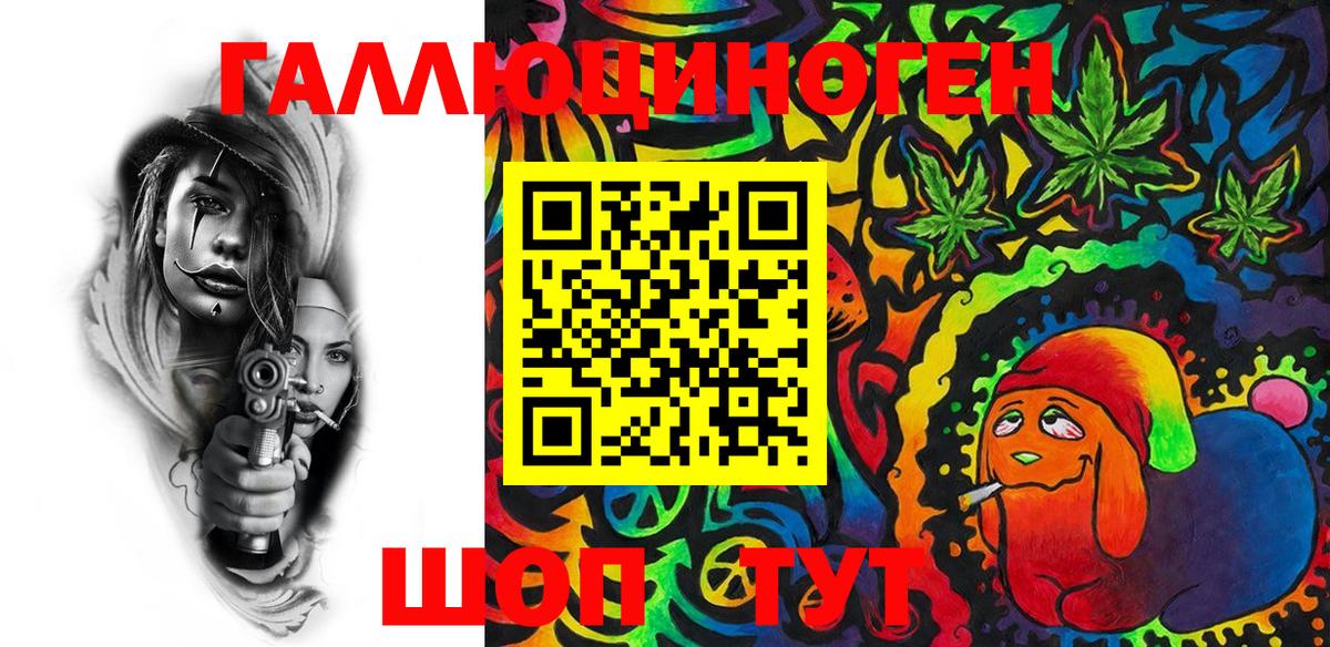 Псилоцибиновые грибы Psilocybe Нижнекамск