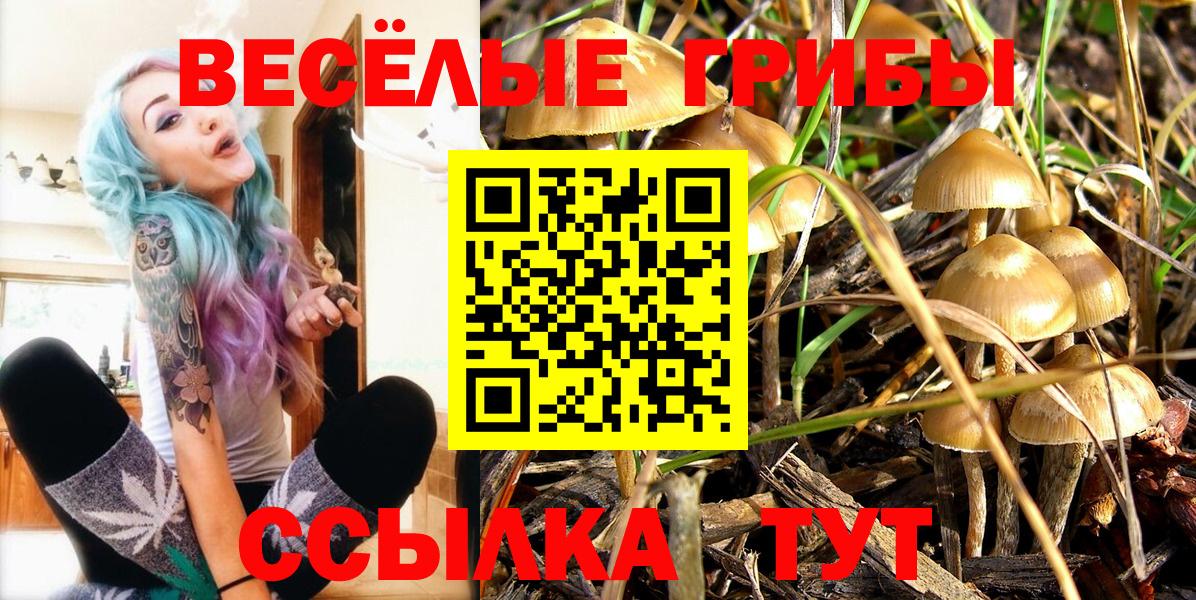 Псилоцибиновые грибы ЛСД  Вход с VPN  Нижнекамск 